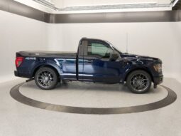 
										Ford F-150 full									