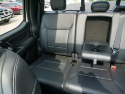 
										Ford F-150 full									