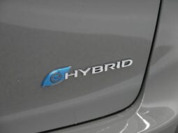 
										Chrysler Pacifica full									