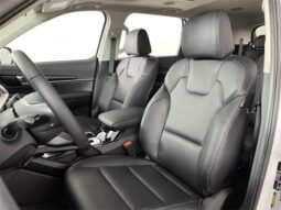 
										Kia Telluride full									