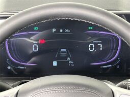 
										Kia Telluride full									