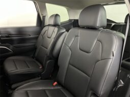 
										Kia Telluride full									