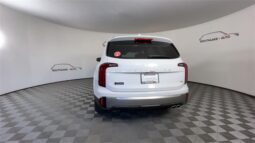 
										Kia Telluride full									
