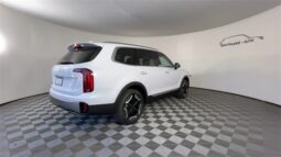 
										Kia Telluride full									