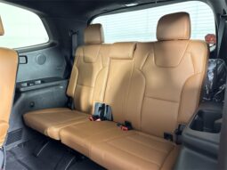 
										Kia Telluride full									