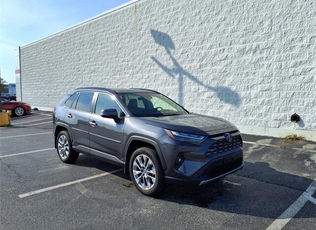 
 Toyota RAV4 full									