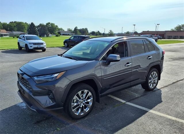
 Toyota RAV4 full									