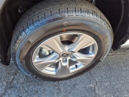 
										Toyota RAV4 full									