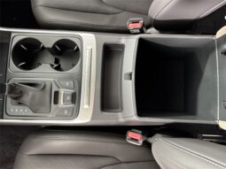 Kia Carnival full