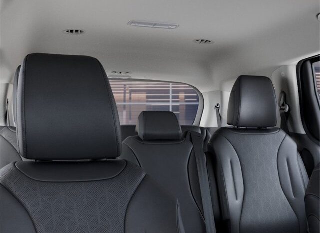 
								Kia Carnival full									