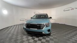 
 Kia Seltos full									