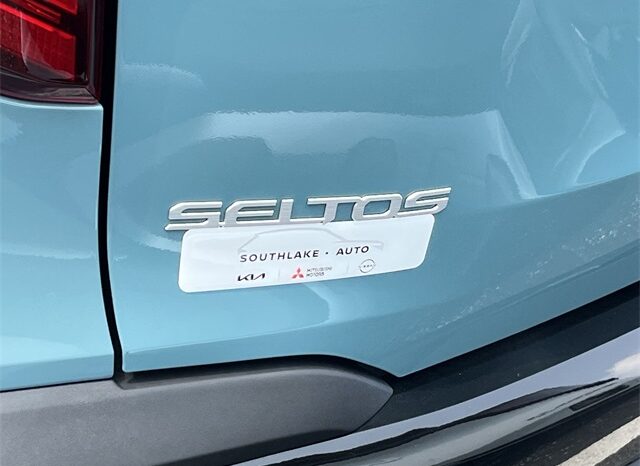 
 Kia Seltos full									