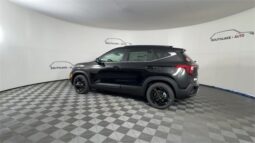
										Kia Seltos full									