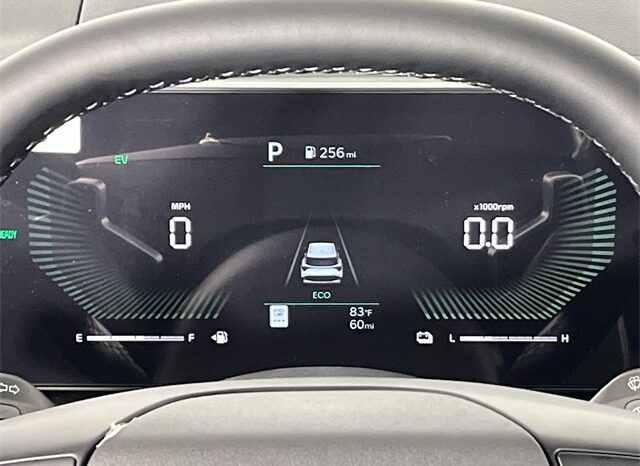 
 Kia Sportage Hybrid full									
