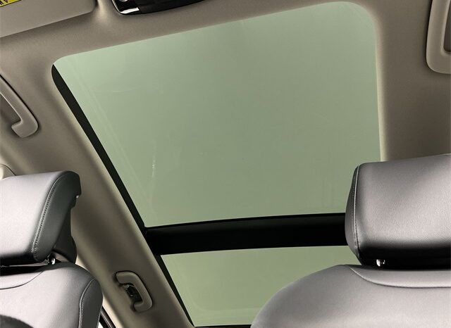 
 Kia Sportage Hybrid full									