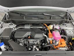 
 Kia Sportage Hybrid full									