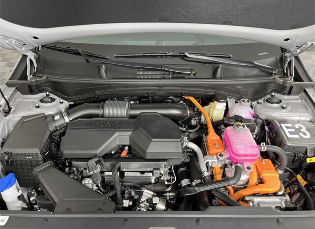 
 Kia Sportage Hybrid full									