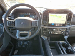 
 Ford F-150 full									