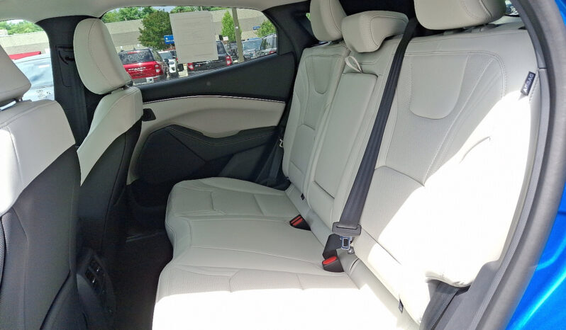 
 Ford Mustang Mach-E full									