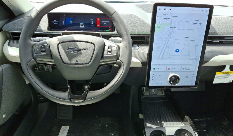 
 Ford Mustang Mach-E full									