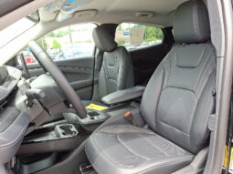 
 Ford Mustang Mach-E full									