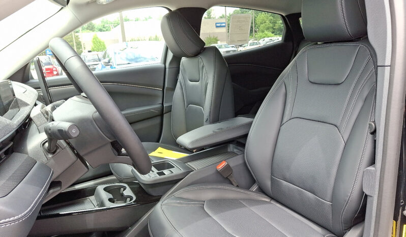 
 Ford Mustang Mach-E full									