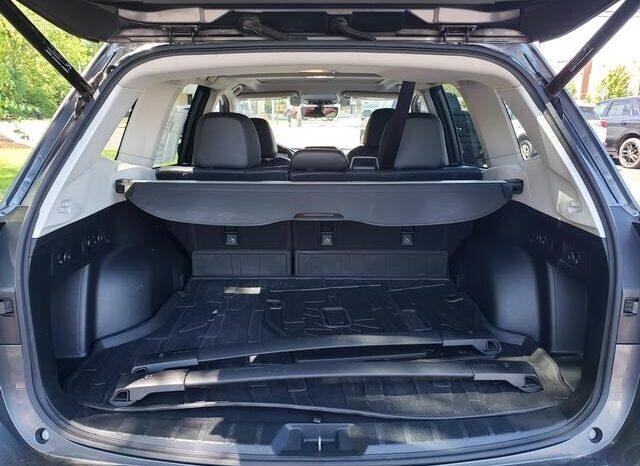 
 Subaru Forester full									