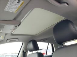 
 Volkswagen Golf full									