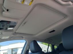 Subaru Crosstrek full