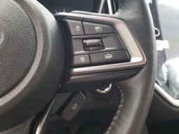 
 Subaru Ascent full									