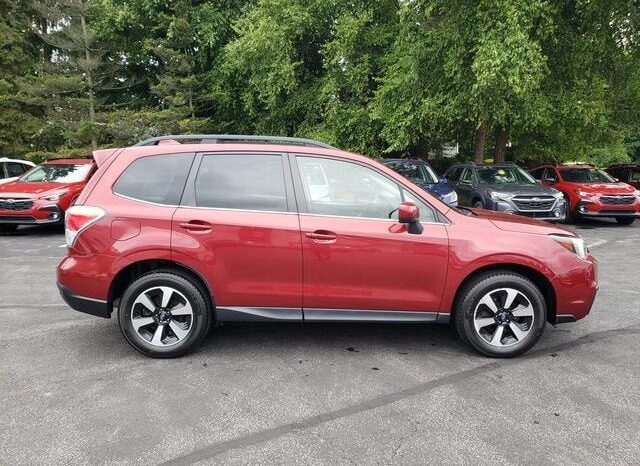 
 Subaru Forester full									