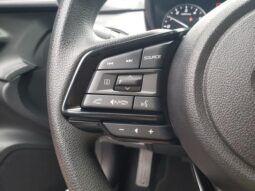 Subaru Crosstrek full
