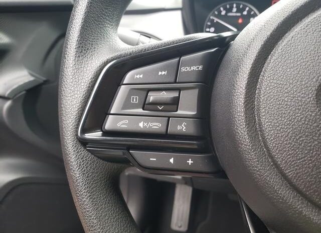 
 Subaru Crosstrek full									