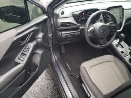 Subaru Crosstrek full