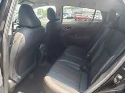 
 Subaru Crosstrek full									
