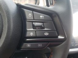 
 Subaru Crosstrek full									