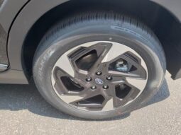 
 Subaru Crosstrek full									
