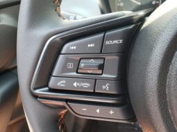 
 Subaru Crosstrek full									