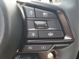 
 Subaru Crosstrek full									