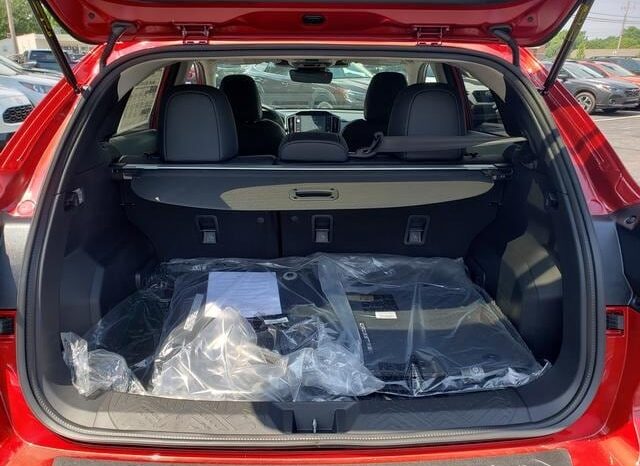 
 Subaru Crosstrek full									