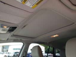 
 Subaru Crosstrek full									