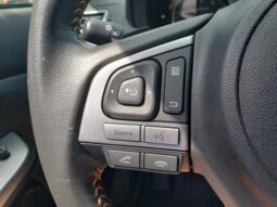 
 Subaru Crosstrek full									