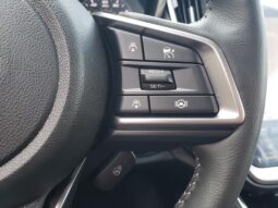 
 Subaru Outback full									