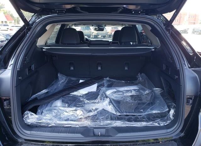 
 Subaru Outback full									