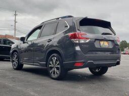 
 Subaru Forester full									