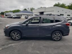
 Subaru Forester full									