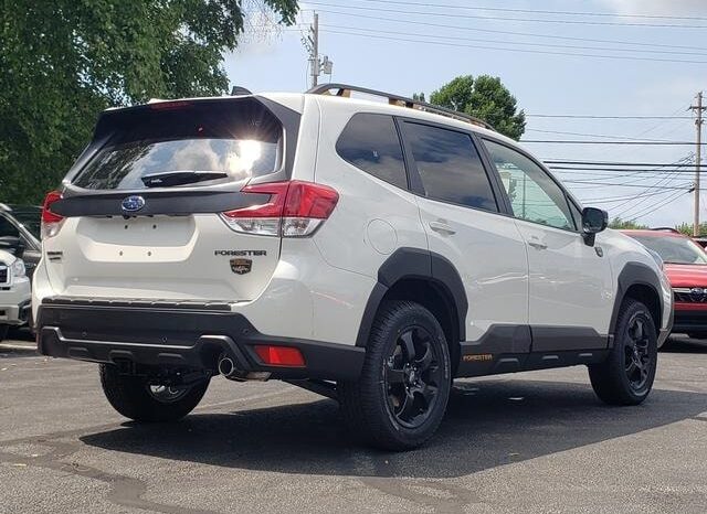 
 Subaru Forester full									