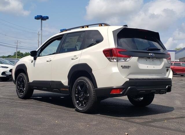 
 Subaru Forester full									