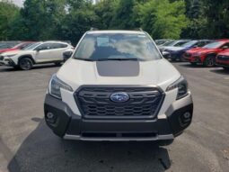 
 Subaru Forester full									
