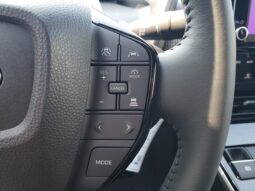 
 Subaru Solterra full									